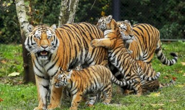 Photo courtesy: twitter