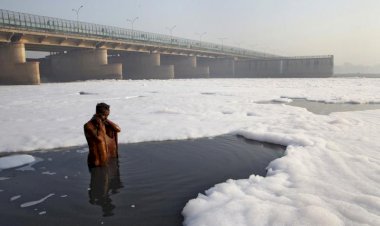 Photo courtesy: the wire