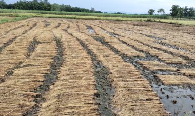 Photo courtesy: Amar ujala