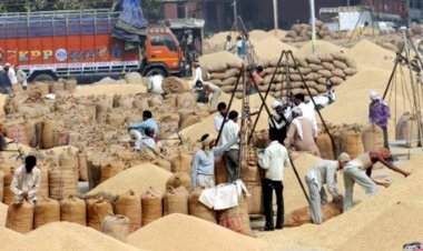 Photo Courtesy: navpradesh