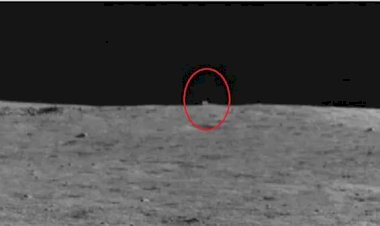 Photo Courtesy: twitter