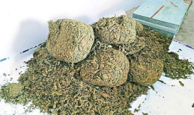 Photo Courtesy: patrika Photo Courtesy: patrika