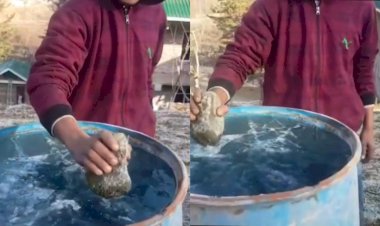 Photo Courtesy: instagram Photo Courtesy: instagram