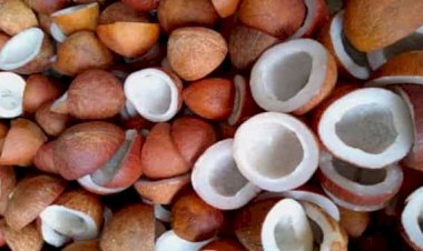 Photo Courtesy: mint