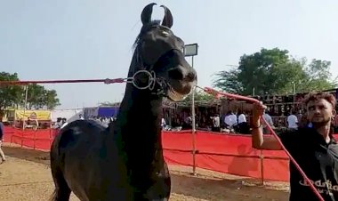 Photo Courtesy: aajtak