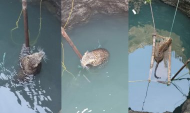 Photo Courtesy: social media