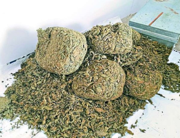 जगदलपुर पुलिस ने पकड़ा 64 लाख का गांजा, चावल की बोरियों में छिपाकर रखा था नशे का सामान