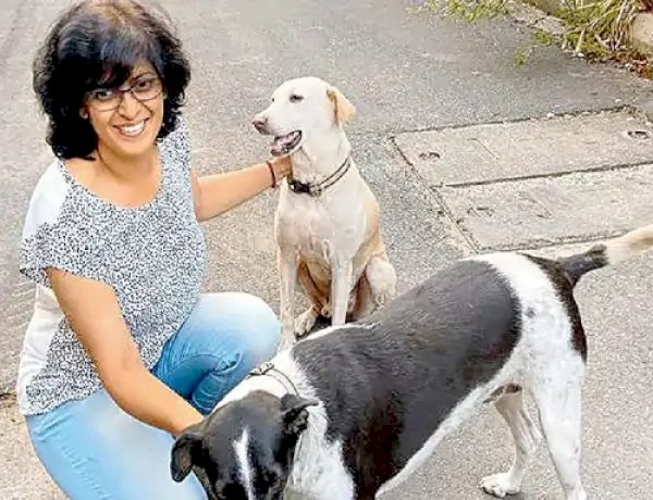 आवारा कुत्तों को खाना खिलाने पर 8 लाख का फाइन, सोसाइटी ने महिला पर लगाया गंदगी फैलाने का आरोप