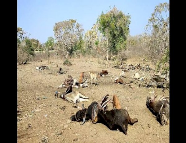 गौशाला प्रबंधक केस दर्ज