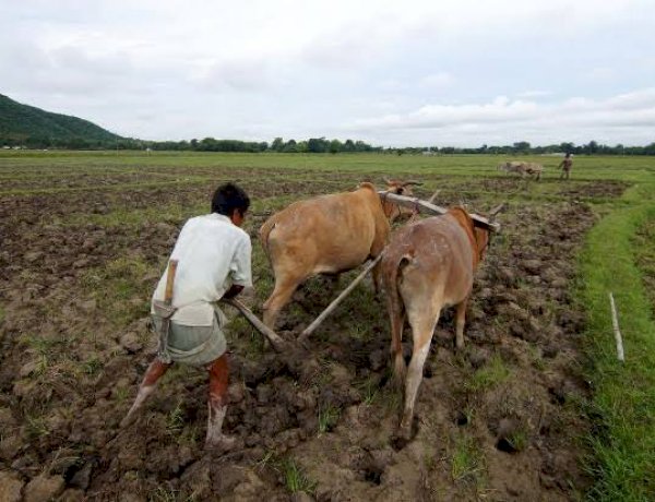 Photo Courtesy: Indiaspend Photo Courtesy: Indiaspend
