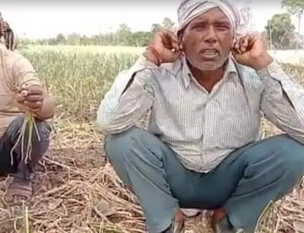 MP: कान पकड़ता हूं दोबारा लहसुन-प्याज की खेती नहीं करूंगा, भाव कम मिलने से दुखी किसान ने लगाई उठक बैठक