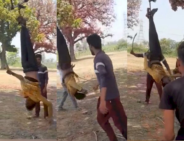 दया की भीख मांगता रहा युवक, पेड़ से उल्टा लटका कर पीटते रहे आरोपी, चोरी के संदेह में थर्ड डिग्री टॉर्चर दया की भीख मांगता रहा युवक, पेड़ से उल्टा लटका कर पीटते रहे आरोपी, चोरी के संदेह में थर्ड डिग्री टॉर्चर