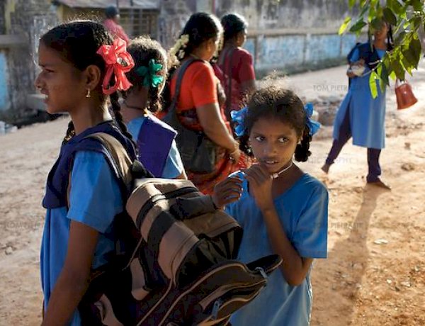 मध्य प्रदेश की 10 हजार बालिकाओं ने छोड़ा स्कूल, कुव्यवस्था के कारण पढ़ाई से वंचित हो रही हैं बेटियां मध्य प्रदेश की 10 हजार बालिकाओं ने छोड़ा स्कूल, कुव्यवस्था के कारण पढ़ाई से वंचित हो रही हैं बेटियां