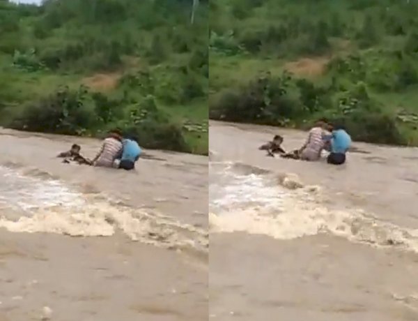श्योपुर: नदी के तेज बहाव में फंसे चार बाइक सवार, ग्रामीणों ने जान पर खेलकर बचाई जान