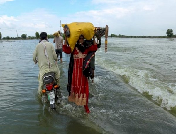 बारिश ने पाकिस्तान में लाई तबाही, बाढ़ से 937 लोगों की मौत, राष्ट्रीय आपातकाल कि घोषणा