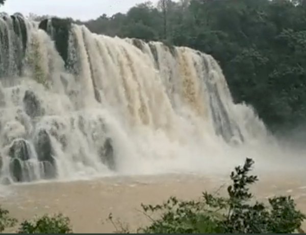 छत्तीसगढ़ के रमदहा वॉटरफॉल में डूबे सिंगरौली के 7 सैलानी, एक युवती को सुरक्षित निकाला गया छत्तीसगढ़ के रमदहा वॉटरफॉल में डूबे सिंगरौली के 7 सैलानी, एक युवती को सुरक्षित निकाला गया