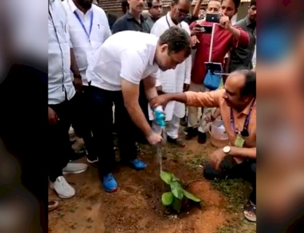 एकता, सद्भाव और भाईचारे का पौधा: अंडमान की मिट्टी-पानी से राहुल ने सुचिंद्रम में किया पौधरोपण एकता, सद्भाव और भाईचारे का पौधा: अंडमान की मिट्टी-पानी से राहुल ने सुचिंद्रम में किया पौधरोपण