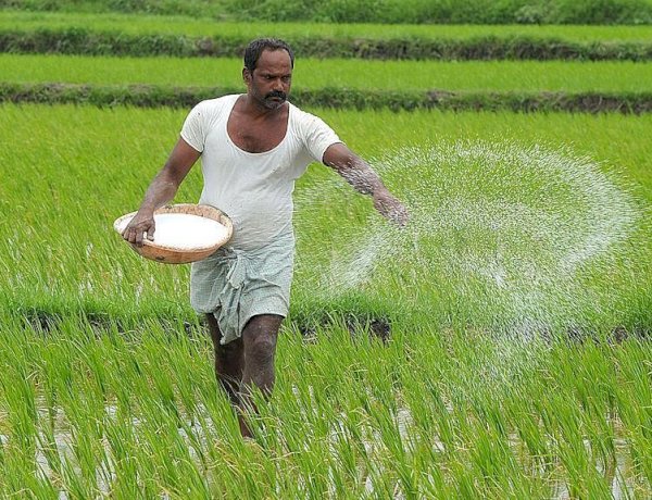 PM Kisan Scheme का लाभ लेने वाले 21 लाख किसानों से होगी वसूली, UP सरकार ने बताया अपात्र