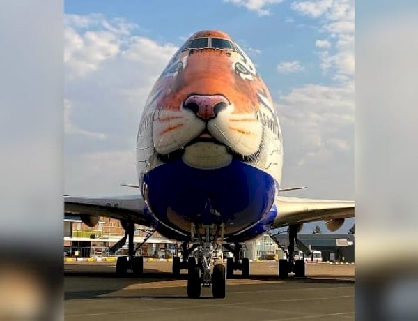 चीतों को भारत लाने के लिए नामीबिया पहुंचा विशेष विमान, हाई कमीशन ने शेयर की तस्वीर