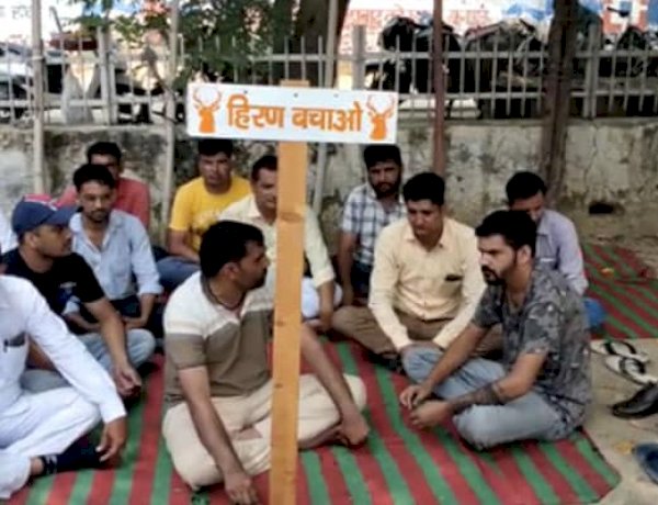 चीतों को भोजन में हिरण परोसने पर भड़का विश्नोई समाज, भाजपा नेता ने भी जताई नाराजगी चीतों को भोजन में हिरण परोसने पर भड़का विश्नोई समाज, भाजपा नेता ने भी जताई नाराजगी