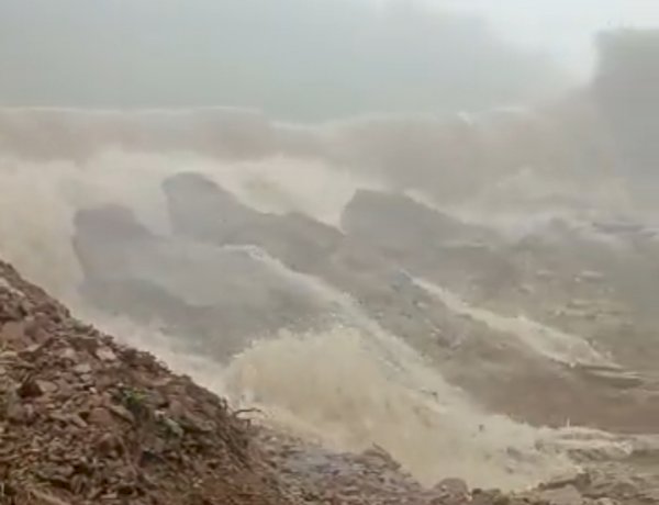 सीधी जिले में बाणसागर डैम की नहर टूटी, पानी के तेज बहाव में कई बकरियां और गोवंश बहे