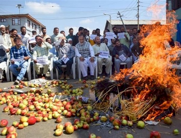 कश्मीर में बर्बाद हो रहा है करोड़ों का सेब, हाईवे खोलने के लिए खुदा का वास्ता भी नहीं आ रहा काम