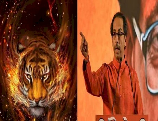 EC ने शिवसेना के सिंबल को किया फ्रिज, अब बाघ हो सकता है उद्धव गुट का नया चुनाव चिन्ह