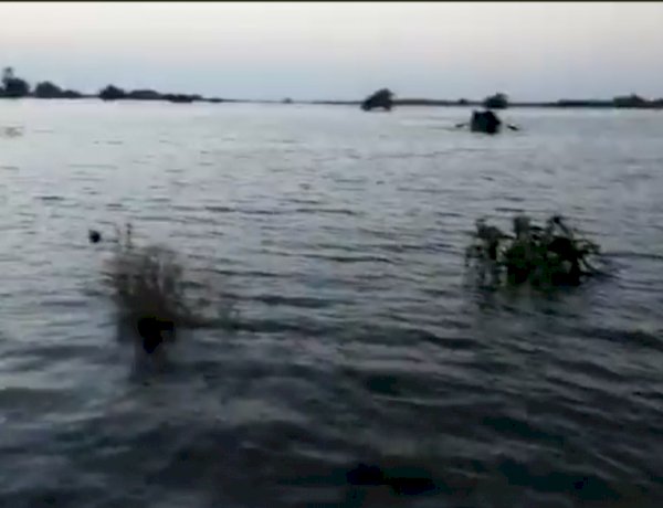 मंदसौर में बड़ा हादसा, चंबल नदी में नाव पलटने से चार महिलाओं की मौत, एक लापता