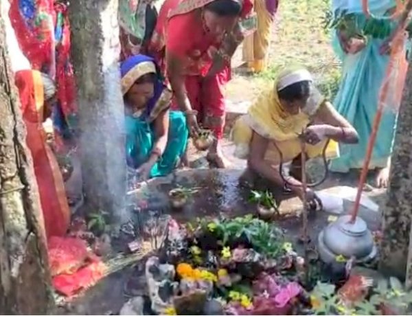 लंपी वायरस के चपेट में हैं हजारों गौवंश, मध्य प्रदेश के कई गांवों में नहीं हुई गोवर्धन पूजा लंपी वायरस के चपेट में हैं हजारों गौवंश, मध्य प्रदेश के कई गांवों में नहीं हुई गोवर्धन पूजा
