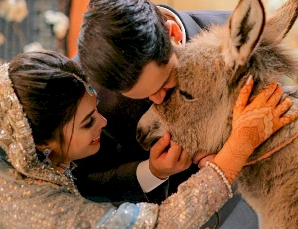 पाकिस्तान के एक यूट्यूबर ने शादी पर अपनी दुल्हन को गिफ्ट किया गधा, बताया सबसे मेहनती जानवर