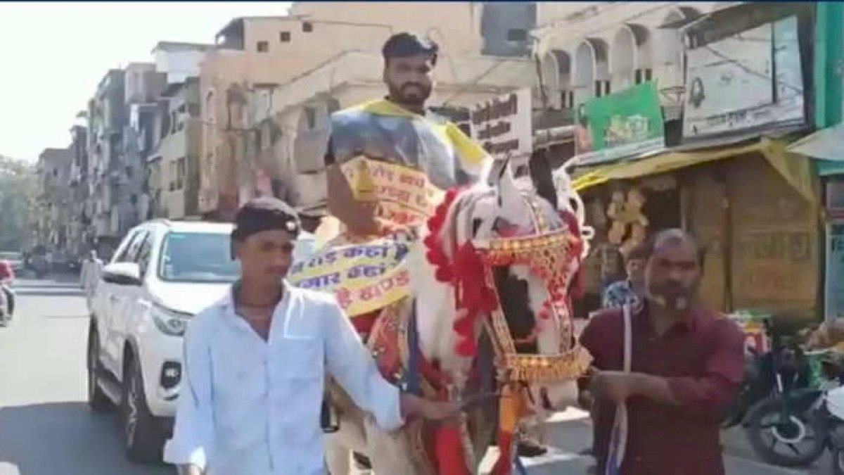 खंडवा में नगर निगम बैठक में नेता प्रतिपक्ष दीपक राठौर घोड़े पर बैठकर पहुंचे।