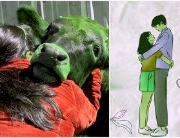 वैदिक संस्कृति खतरे में है, 14 फरवरी को वैलेंटाइन डे नहीं, Cow Hug Day मनाएं: केंद्र सरकार वैदिक संस्कृति खतरे में है, 14 फरवरी को वैलेंटाइन डे नहीं, Cow Hug Day मनाएं: केंद्र सरकार