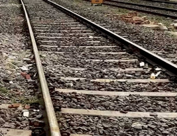 BJP शासित UP में गोवंशों की दुर्दशा: ग्रामीणों ने रेलवे ट्रैक पर गायों को दौड़ाया, ट्रेन से कटकर 11 की मौत
