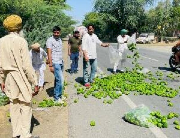 पंजाब में फसल के उचित दाम न मिलने से किसान परेशान, एक रुपए से कम में बिक रही शिमला मिर्च पंजाब में फसल के उचित दाम न मिलने से किसान परेशान, एक रुपए से कम में बिक रही शिमला मिर्च