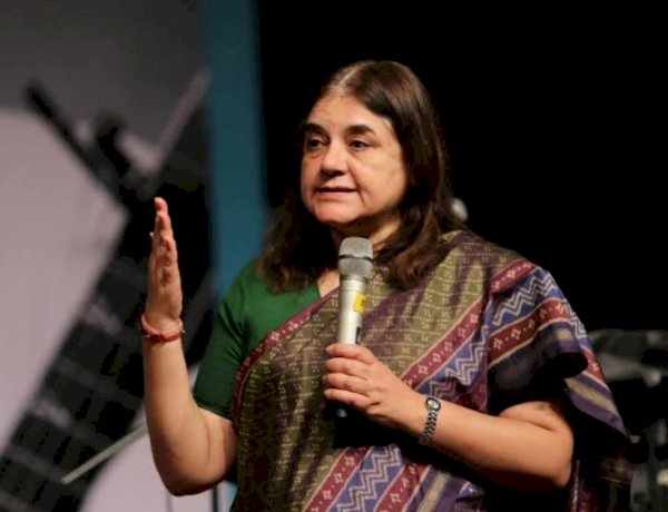 धरने पर बैठे पहलवानों के समर्थन में आईं BJP सांसद मेनका गांधी, कहा- भगवान करें उन्हें न्याय मिले धरने पर बैठे पहलवानों के समर्थन में आईं BJP सांसद मेनका गांधी, कहा- भगवान करें उन्हें न्याय मिले