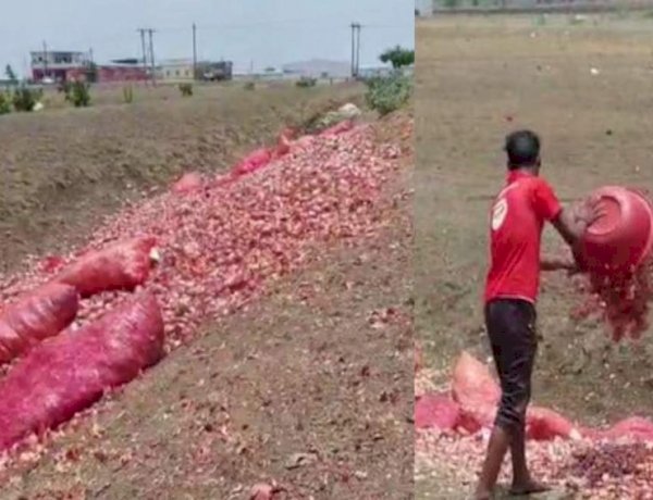 MP में प्याज उपजाने वाले किसानों का बुरा हाल, मंडी में भाव नहीं मिलने से परेशान किसान ने नाले में फेंक दी प्याज