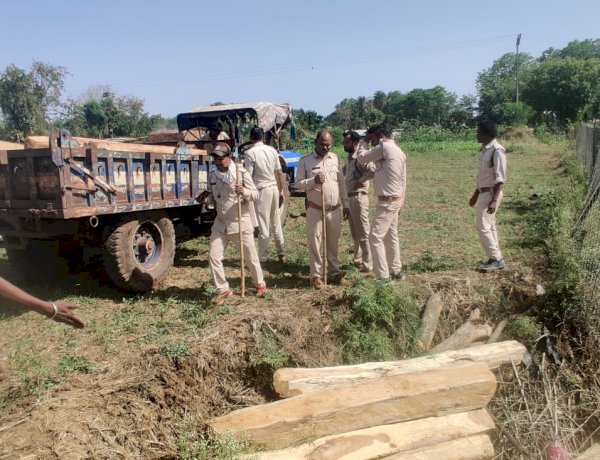 MP में माफियाओं के हौसले बुलंद, सागौन तस्करों ने वन अमले पर किया हमला, तीन आरक्षक घायल MP में माफियाओं के हौसले बुलंद, सागौन तस्करों ने वन अमले पर किया हमला, तीन आरक्षक घायल