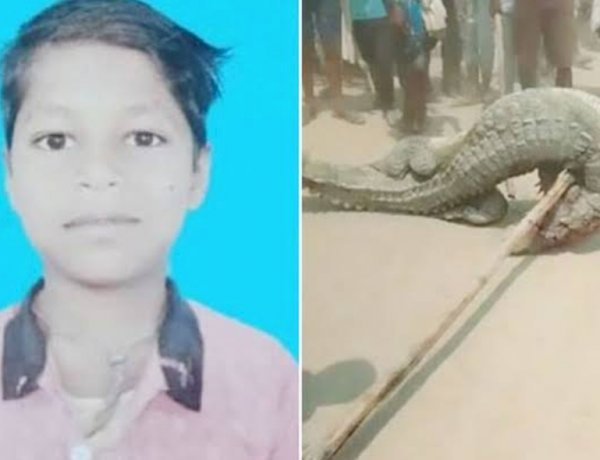 ग्रामीणों ने मगरमच्छ से लिया मौत का बदला, नदी से निकाल कर पीट-पीट कर मार डाला ग्रामीणों ने मगरमच्छ से लिया मौत का बदला, नदी से निकाल कर पीट-पीट कर मार डाला