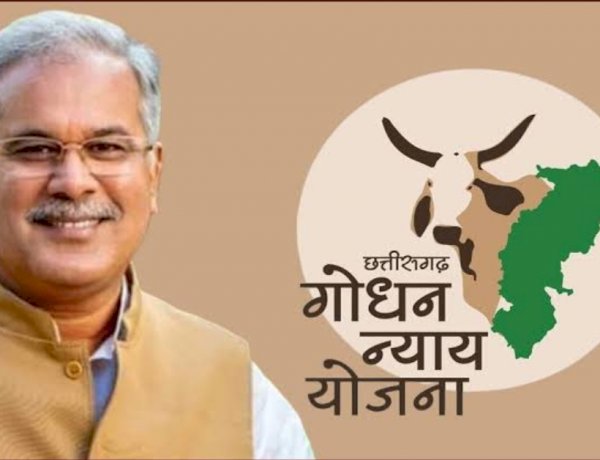 गोधन न्याय योजना: हितग्राहियों को आज मिलेंगे 12 करोड़ 72 लाख रुपए, सीएम भूपेश बघेल करेंगे भुगतान गोधन न्याय योजना: हितग्राहियों को आज मिलेंगे 12 करोड़ 72 लाख रुपए, सीएम भूपेश बघेल करेंगे भुगतान