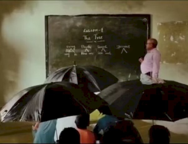 image courtesy- the quint image courtesy- the quint