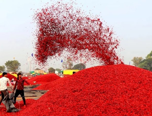 image courtesy- fress press image courtesy- fress press