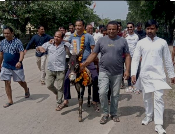 Image courtesy- NBT Image courtesy- NBT