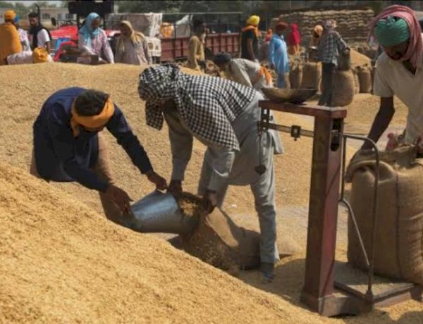 छत्तीसगढ़ में 3600 रुपए क्विंटल बिकेगा धान, विधानसभा चुनाव से पूर्व कांग्रेस सरकार का मास्टर स्ट्रोक छत्तीसगढ़ में 3600 रुपए क्विंटल बिकेगा धान, विधानसभा चुनाव से पूर्व कांग्रेस सरकार का मास्टर स्ट्रोक