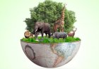 World Biodiversity Day: पृथ्वी पर सभी प्रकार के जीवन का आधार है जैव विविधता World Biodiversity Day: पृथ्वी पर सभी प्रकार के जीवन का आधार है जैव विविधता
