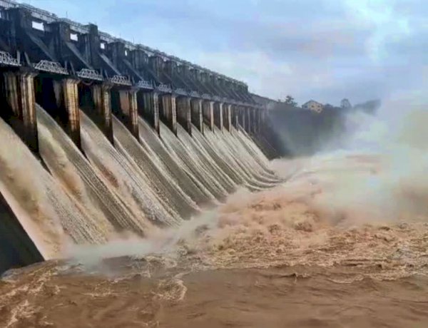 Photo Courtesy: ETV Bharat Photo Courtesy: ETV Bharat