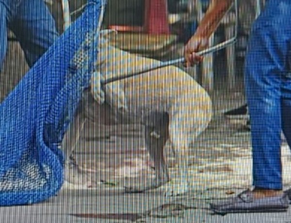 Photo Courtesy: BBC News Photo Courtesy: BBC News