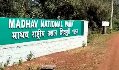 Photo Courtesy: NDTV MP-Chattisgarh  Photo Courtesy: NDTV MP-Chattisgarh