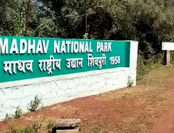 Photo Courtesy: NDTV MP-Chattisgarh 