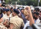 केंद्रीय कृषि मंत्री शिवराज के घर गेहूं की बोरी लेकर पहुंचे पटवारी, बंगले के बाहर सड़क पर बिखेरा केंद्रीय कृषि मंत्री शिवराज के घर गेहूं की बोरी लेकर पहुंचे पटवारी, बंगले के बाहर सड़क पर बिखेरा