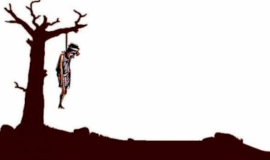 Representative Image Representative Image